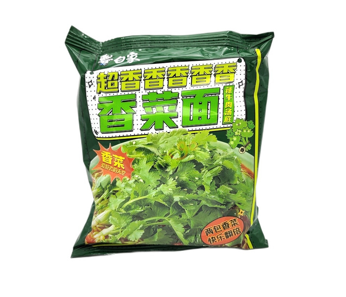 RAMEN INST. DE CILANTRO