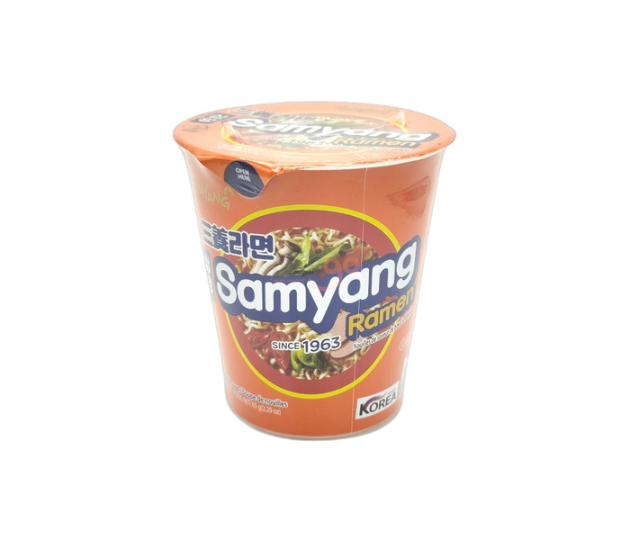 RAMEN INS.